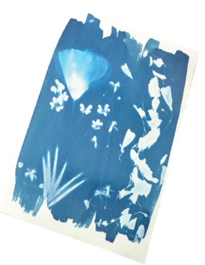 KIT ARTISTIQUE CYANOTYPE