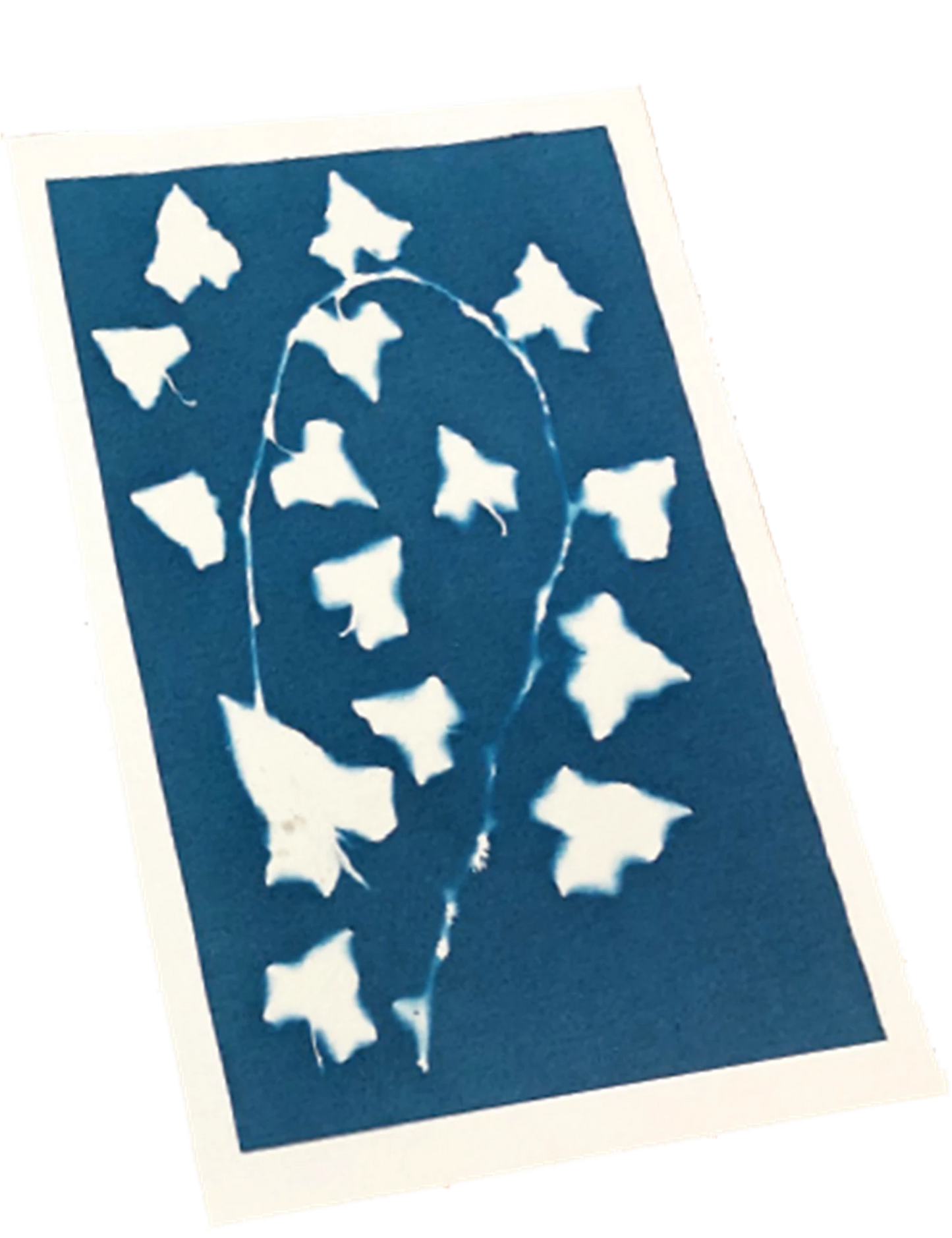 KIT ARTISTIQUE CYANOTYPE
