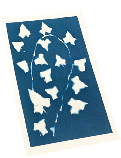 KIT ARTISTIQUE CYANOTYPE