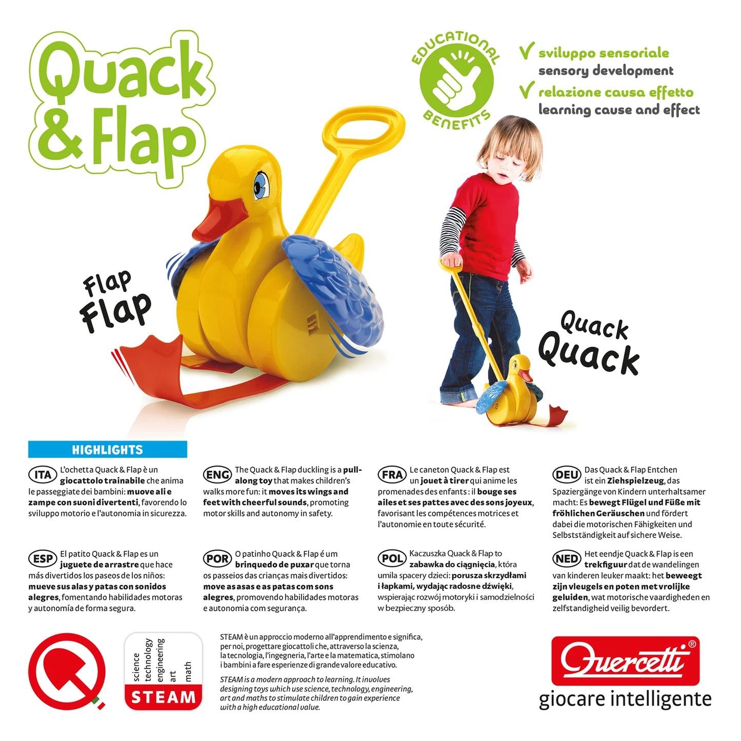 QUERCETTI - QUACK & FLAP - F/D/D/I