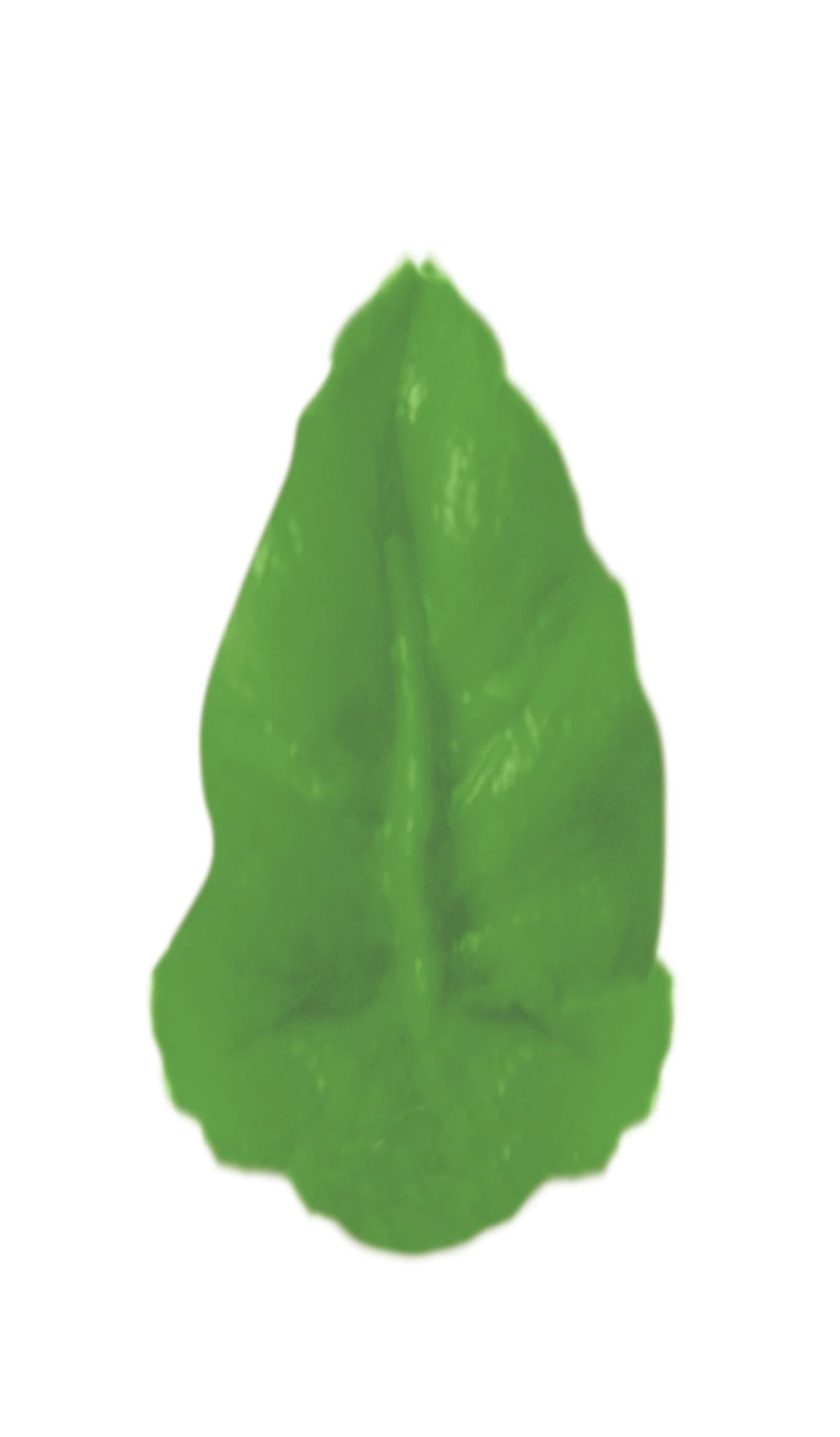 TUBO SPRUZZATORE IN ACCIAIO INOX MINI LEAF