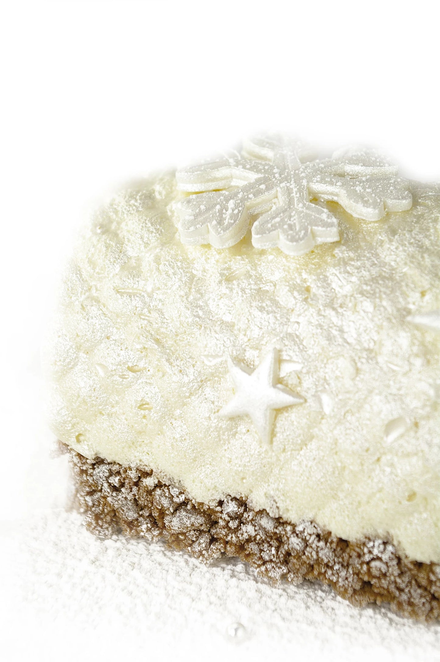 BACKBLECH BUCHE EDELSTAHL