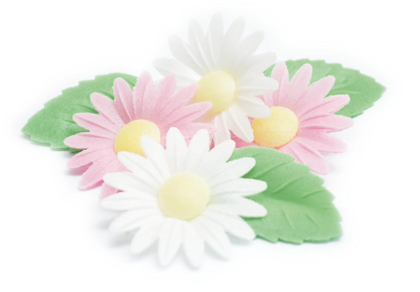 DÉCOR EN AZYME. MARGUERITES (6 PIÈCES) ET FEUILLES VERTES (6 PIÈCES).