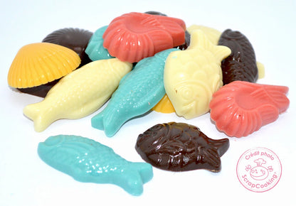MOULE À CHOCOLAT EN FORME DE POISSON