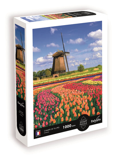 CALYPTO – 1000 STÜCK BEZAHLUNGEN HOLLÄNDISCHE TULPENFELDER (ML) – F/D/ML