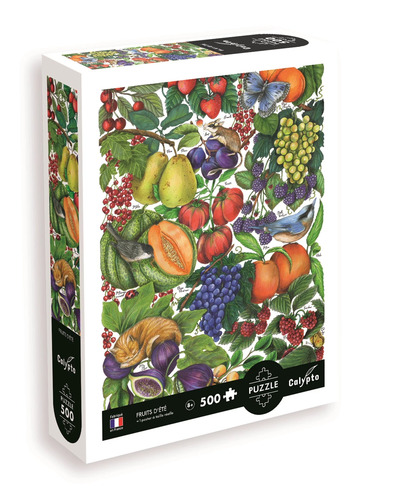 PZ 500PCS LES FRUITS D'ÉTÉ (ML)