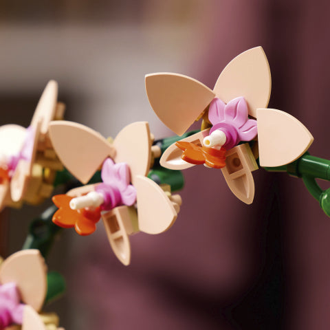MINI ORCHIDÉE - BOTANIQUE 10343 - LEGO