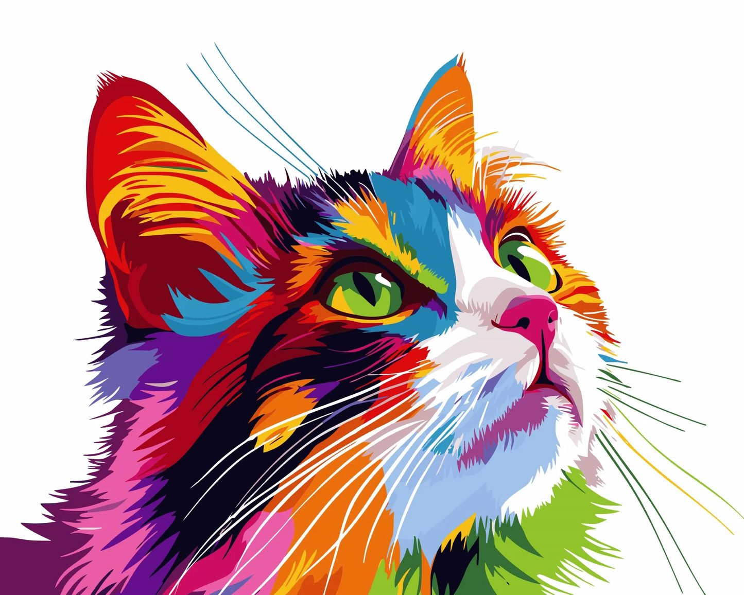 GATTO COCCOLONE POP ART - PITTURA CON I NUMERI - COLORELLE