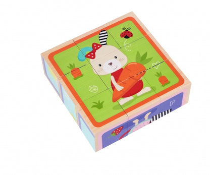 CUBES ILLUSTRÉS EN BOIS ASSORTIS - EICHHORN