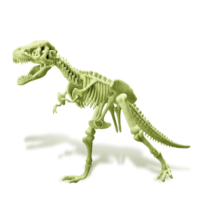 FOSFORESZENZ-DINOSAURIER-SKELETT ZUM BAUEN – 4M