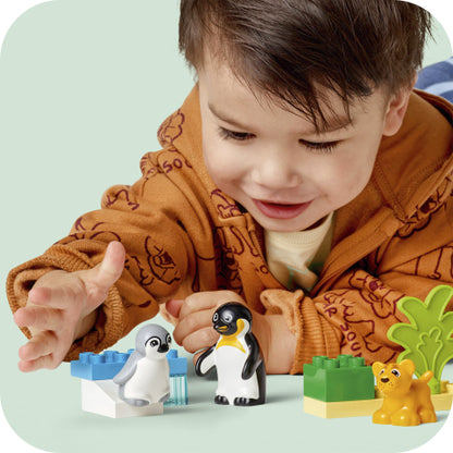 FAMILLES D'ANIMAUX : LIONS ET PINGOUINS - DUPLO 10442 - LEGO