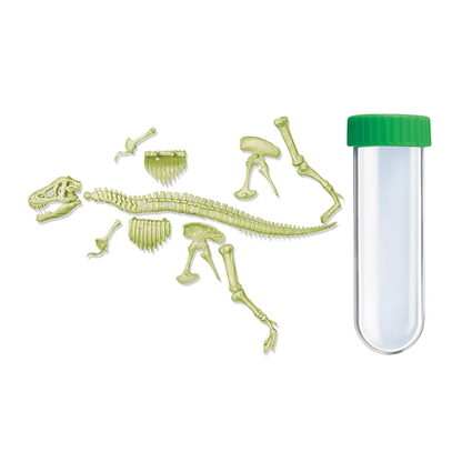 FOSFORESZENZ-DINOSAURIER-SKELETT ZUM BAUEN – 4M