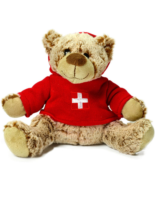 TEDDYBÄR MIT HOODY-PULLOVER 25CM SOUVENIR