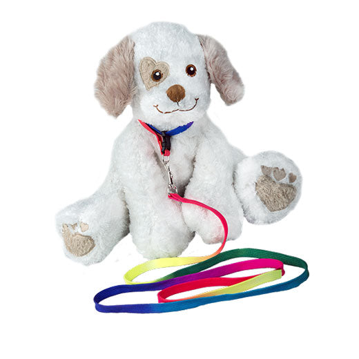 REGENBOGEN-HALSBAND- & LEINEN-SET – EINEN TEDDY MACHEN