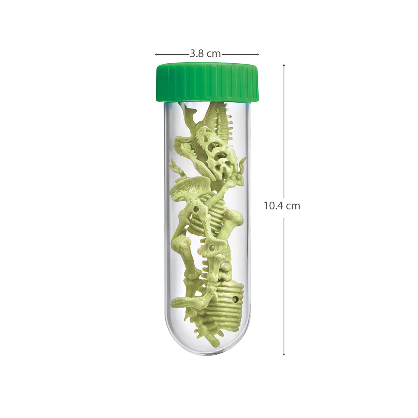 FOSFORESZENZ-DINOSAURIER-SKELETT ZUM BAUEN – 4M