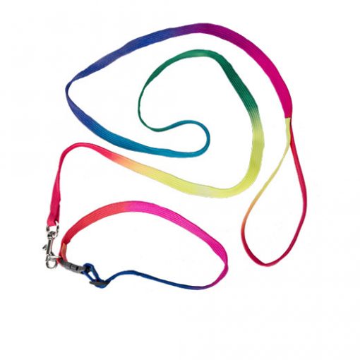 RAINBOW COLLAR & LEASH SET - MAKE A TEDDY