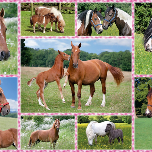 Alternative view of PUZZLE CAVALLI 150 PZ - SCHMIDT