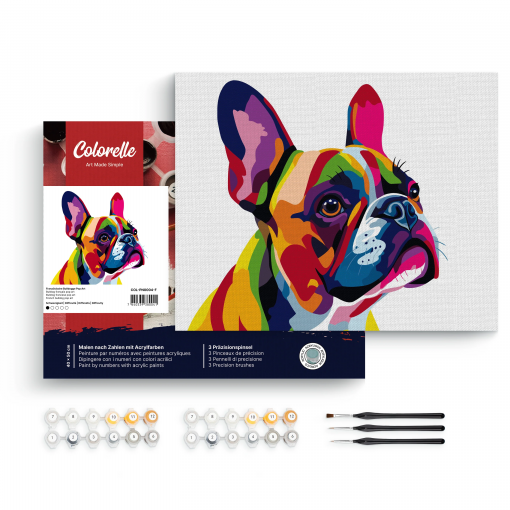 BULLDOG FRANCESE POP ART - PITTURA CON I NUMERI - COLORELLE