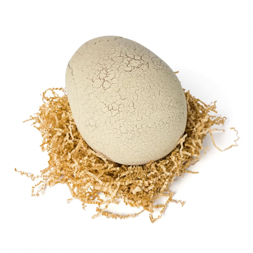 Alternative view of 🟡 PRIMAL HATCH T-REX INTERATTIVO - SPINMASTER - BESTSELLER