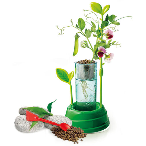 Alternative view of Clementoni - BOTANICA E IDROPONICA – CLEMENTONI - FRA